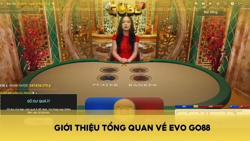 Giới thiệu tổng quan về EVO GO88