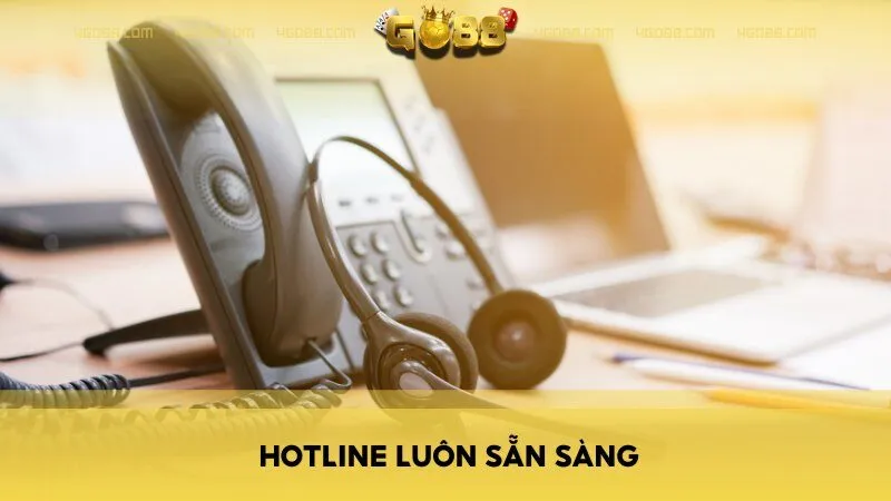 Hotline luôn sẵn sàng hoạt động mọi lúc