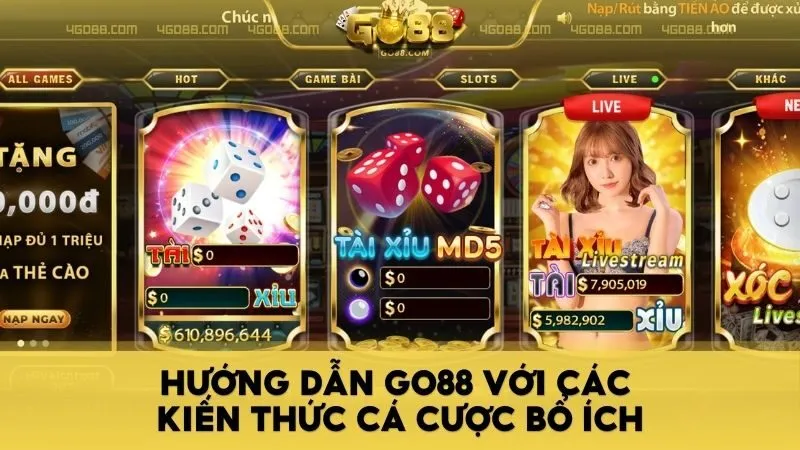 Hướng dẫn Go88 - Kiến thức cá cần thiết cho tân thủ