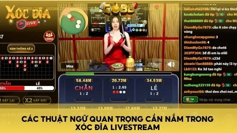 Các thuật ngữ quan trọng cần nắm trong xóc đĩa livestream