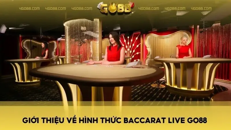 Giới thiệu về hình thức Baccarat Live Go88