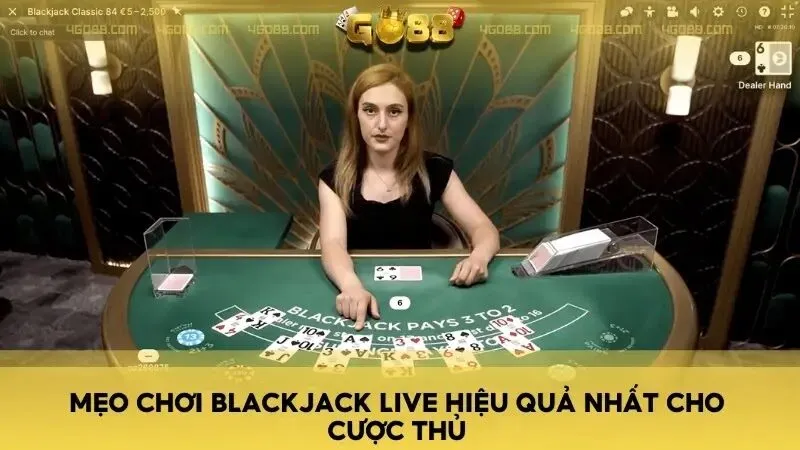 Mẹo chơi Blackjack Live hiệu quả nhất cho cược thủ