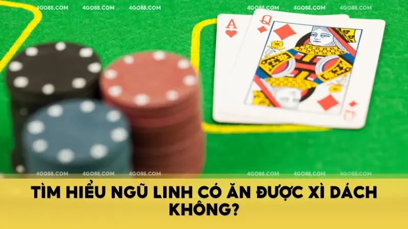 Tìm hiểu đáp án cho câu hỏi:"Ngũ Linh có ăn được Xì dách không"